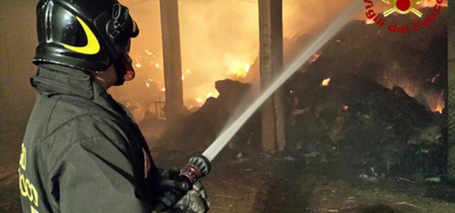 Incendiato capannone agricolo a Mileto