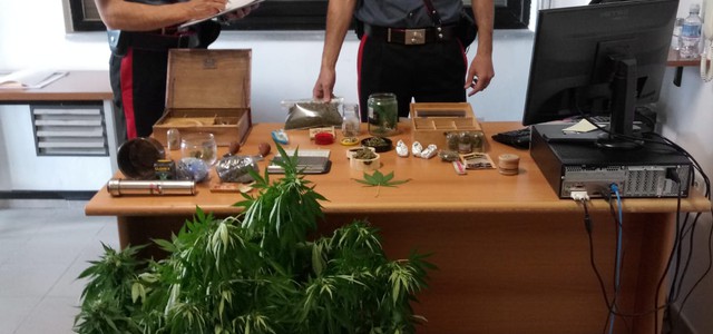 AVEVANO IL MONOPOLIO SULLA VENDITA DELLA MARIJUANA: ARRESTATE QUATTRO PERSONE