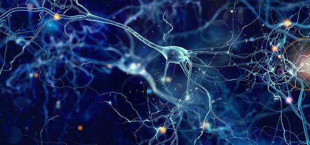 Intelligenza artificiale - Calabria protagonista a Montreal del primo Business Forum Canada-Italia