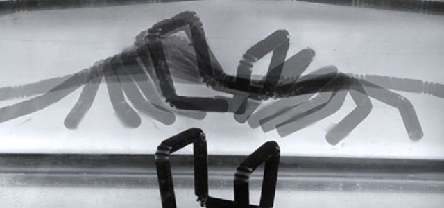 Con la stampa 4D gli oggetti si trasformano nel tempo