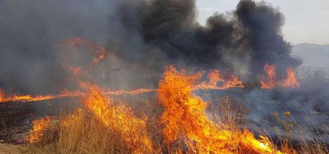 Gdf Crotone arresta due piromani