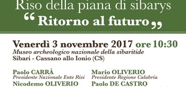 RISO DELLA PIANA DI SIBARYS “RITORNO AL FUTURO"  