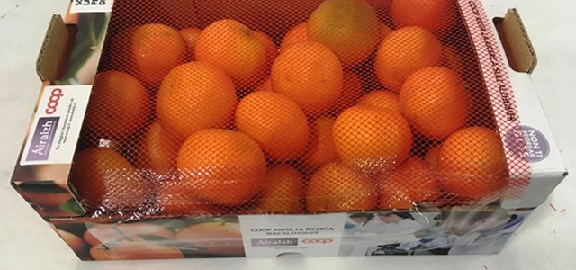 Le clementine calabresi pro Airalzh