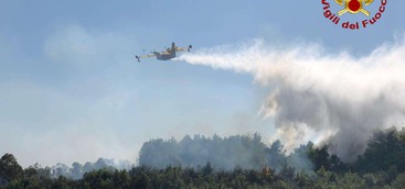 Incendio in un bosco nel Vibonese (FOTO)