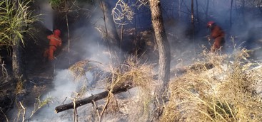 Vasto incendio nel Catanzarese, i Diavoli Rossi di Tiriolo domano le fiamme (FOTO)
