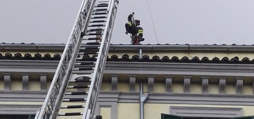 Forte vento a Catanzaro, vetrate in frantumi e alberi divelti