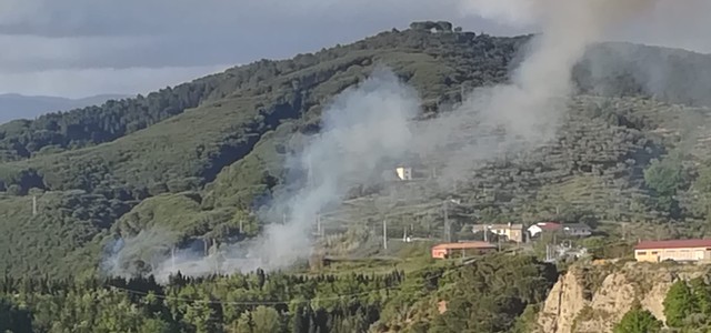FOTONOTIZIA: In fiamme la pineta di Siano