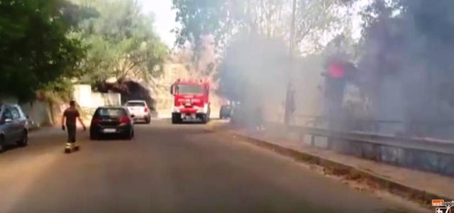 Incendi nel Vibonese, in alcuni comuni a rischio le abitazioni (VIDEO)
