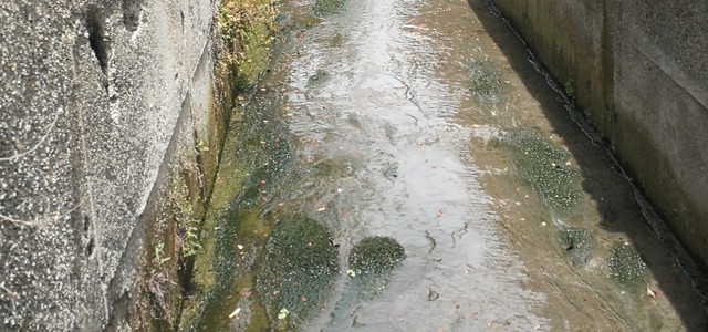 Riccio: "Ecco il mio piano d'intervento ambientale in vista dell'estate"