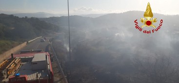 Catanzaro, vasto incendio di arbusti in zona sud (FOTO)