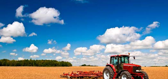 CAPACITA’ E RISORSA DELL’INIZIATIVA IN MOVIMENTO A CAMMARATA  