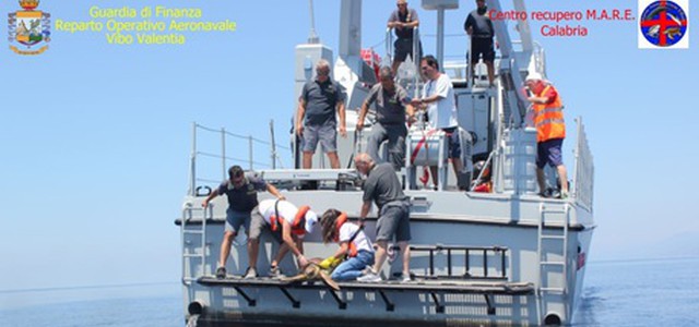 Salvata da Gdf, torna in mare tartaruga