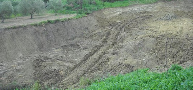 Macchia Mediterranea estirpata senza autorizzazione, deferito