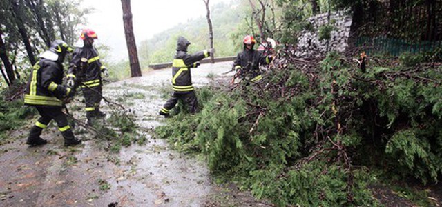 Albero cade su sagra e uccide uomo