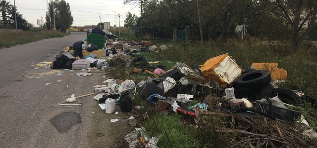 Fotografato mentre getta rifiuti, denunciato