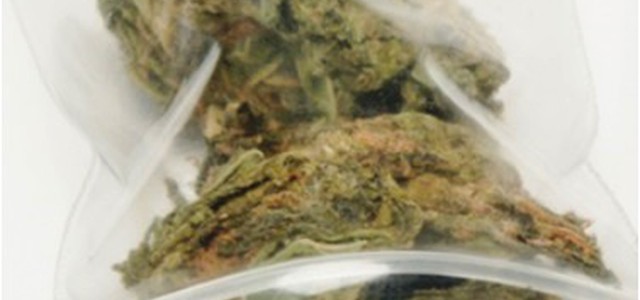 Trovata marijuana in involucri alla Stazione di Lido e ai giardini di San Leonardo