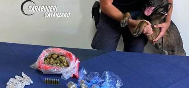 198 gr di marijuana in casa, arrestato 26enne di Caraffa