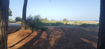 Dune di Giovino, ora o mai più