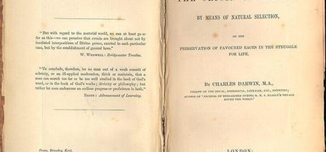 Turchia: teoria Darwin esclusa da scuola