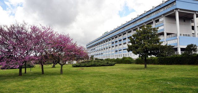 Lamezia Terme - Un nuovo farmaco derivato dal plasma salva la vita ad un paziente