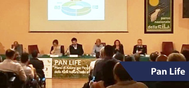 Presentato il Piano di azione per la protezione della Rete Natura in Calabria