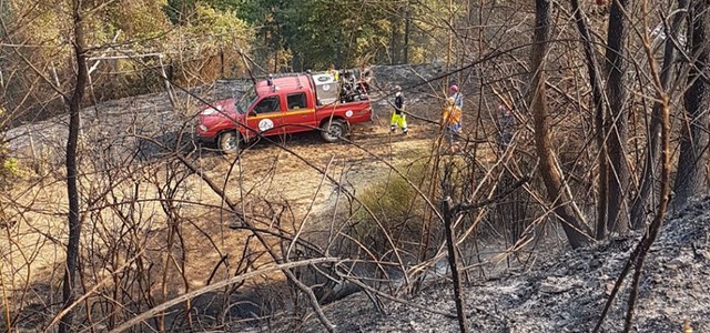 Il Gruppo Comunale di Protezione Civile di Decollatura impegnato a contrastare gli incendi 