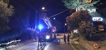 Albero colpito da fulmine impedisce accesso ad una abitazione, intervento vigili del fuoco