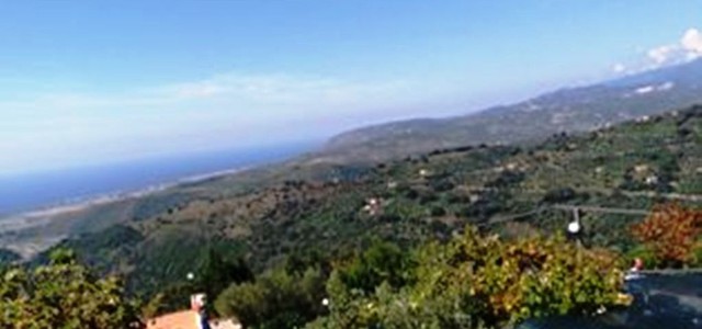 Coldiretti: Produzione 2018-2019 di olio di oliva con meno oltre il 40%, Richiesta calamità naturale
