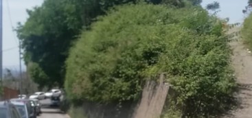 I Quartieri: "FACCE DI BRONZO, SI INTERVENGA SU STRATO’, BELLAVISTA E VIA BELLINI"