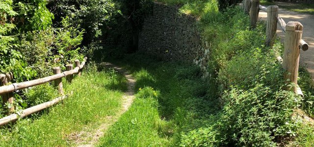Consolante: "Provincia provveda a manutenzione sentieri Parco della Biodiversità o sarà chiusura"