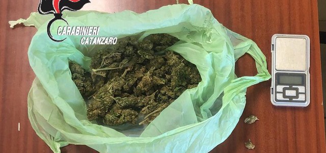 Marijuana in casa, arrestato 48enne nel Catanzarese