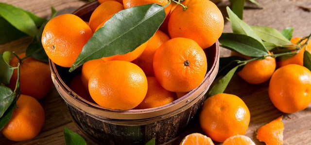 Coldiretti Calabria: "Anche le cooperative e Op calabresi portano sulle tavole le prime clementine sostenibili - efficace risposta per un equo compenso agli agricoltori"