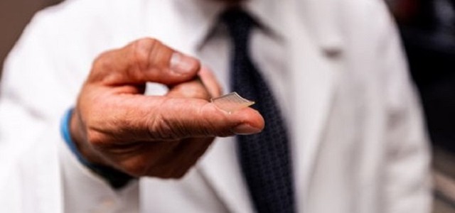 Coronavirus, vaccino-cerotto supera primi test su animali
