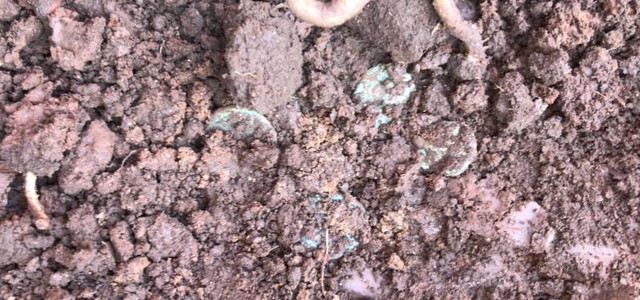 Antiche monete in bronzo trovate nel cantiere del nuovo ospedale di Vibo