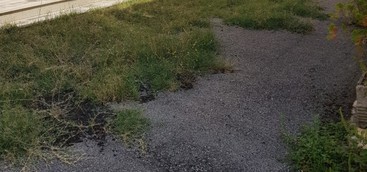 Rotundo #FareperCatanzaro: "Il Cimitero di Via Paglia è ancora vergognosamente abbandonato"