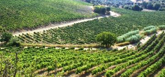 Venerdì il workshop sulla “Cooperazione per l’innovazione in agricoltura” 