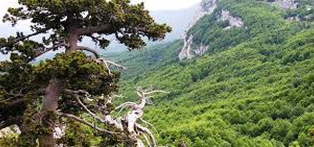 Pollino, crisi per 800 aziende