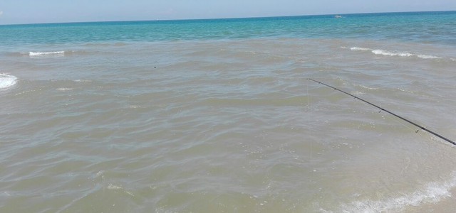 Fioritura algale a Nicotera: dipartimento Arpacal relaziona al commissario prefettizio