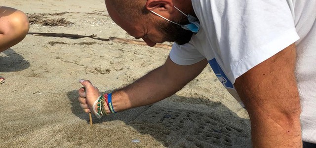 Primo nido di tartaruga marina a Sibari, lo hanno scoperto 2 volontarie che partecipano al campo di Policoro