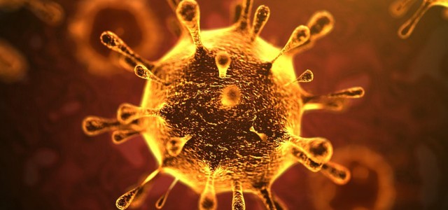 Il Coronavirus tenderà a scemare entro l'estate - questa la previsione dei professionisti del rischio