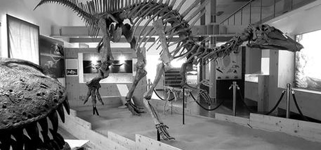 In Calabria Settimana del Pianeta Terra