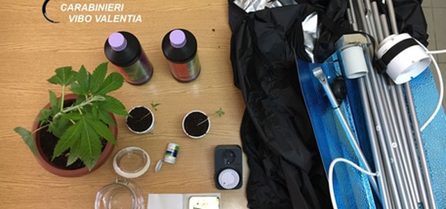 Serra artigianale di droga in casa, arrestato