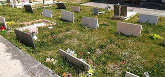 Catanzaro-  La Giunta approva la realizzazione nuovi loculi cimitero di Via Paglia