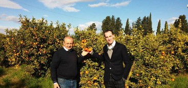 L’Olio Biologico Straface e “Adottaunclementino” a Forte dei Marmi