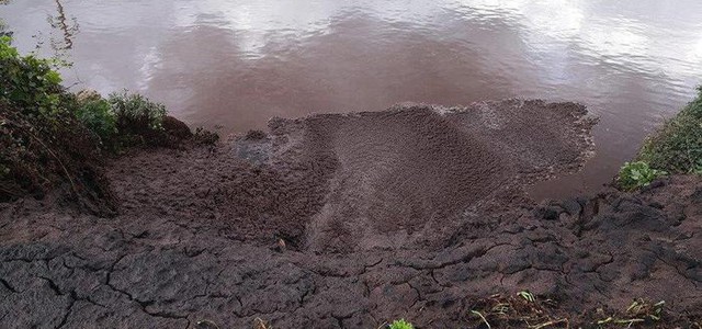 Smaltimento rifiuti frantoio, denunciato proprietario