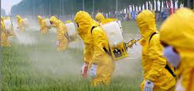Coronavirus: uno studio evidenzia più contagi in aree ad agricoltura intensiva