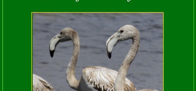 Kalabrian H2O e la Storcal a Eurobirdwatch 17