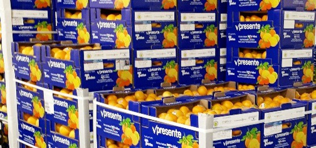 Anche dalla Calabria gli agrumi 100% italiani per fondazione Telethon