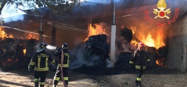 Incendio in una stalla nel Catanzarese, salvati gli animali (VIDEO)
