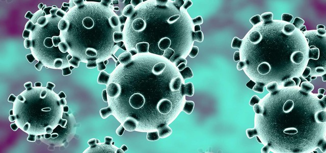 Forum associazioni e movimenti di Catanzaro sull'emergenza Corona Virus: "Fuori gli incompetenti, Santelli chiami Bertolaso!